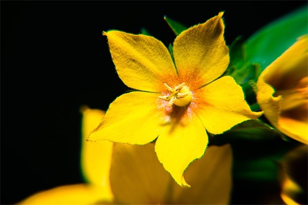 毕业了班主任的寄语-33句