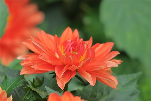 2019年企业新年寄语-29句