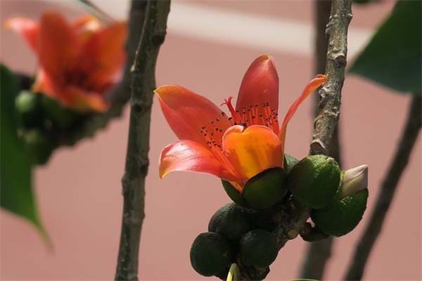 八年级家长对孩子的寄语大全-32句