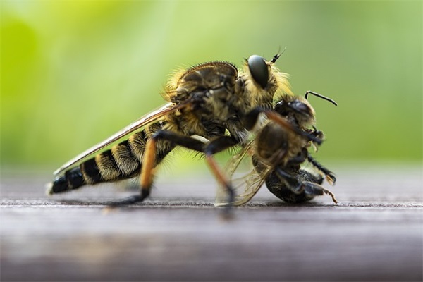 妈妈给小学毕业孩子的寄语-35句