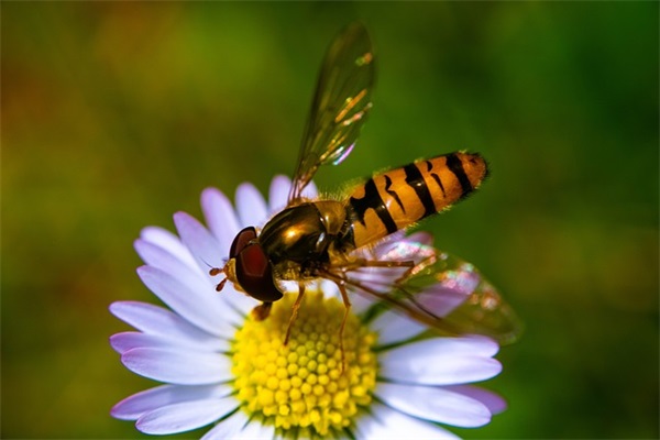 初二家长寄语大全精华-29句