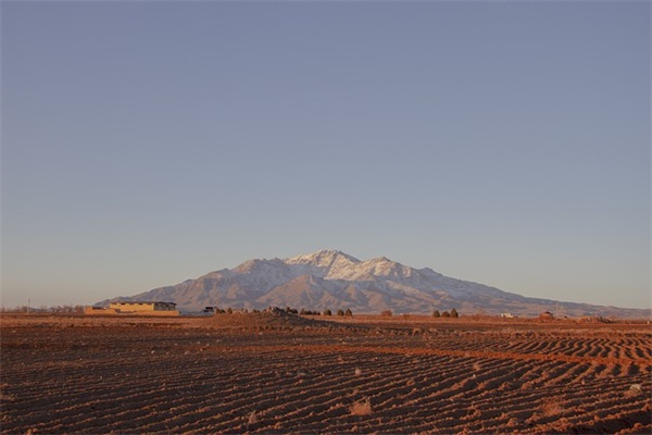 小学父母寄语怎么写-26句