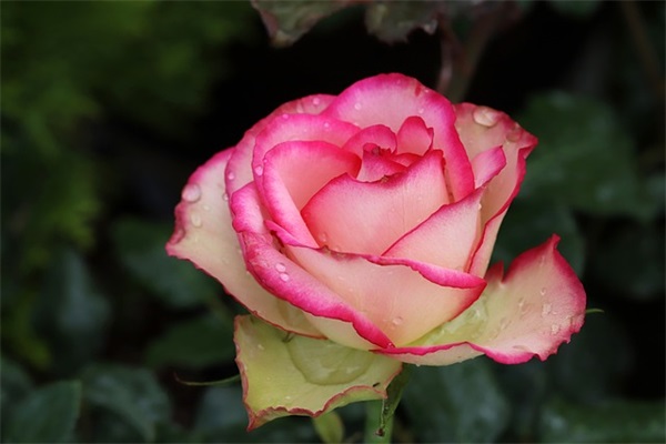 对孩子继续努力寄语-39句