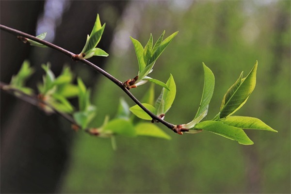 给学生的励志寄语简短初中-46句