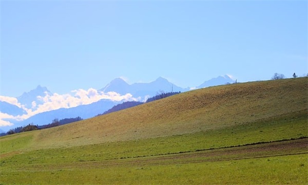 幼儿园大班毕业家长给老师寄语简短-32句