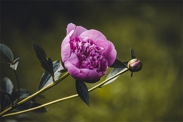 毕业寄语简短一句话霸气-36句