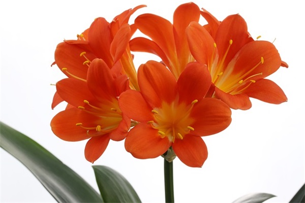 10周岁生日父母寄语-29句