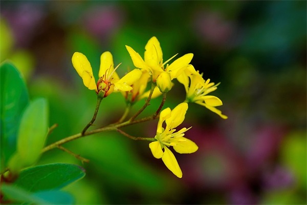 幼儿园小班毕业寄语简短-27句