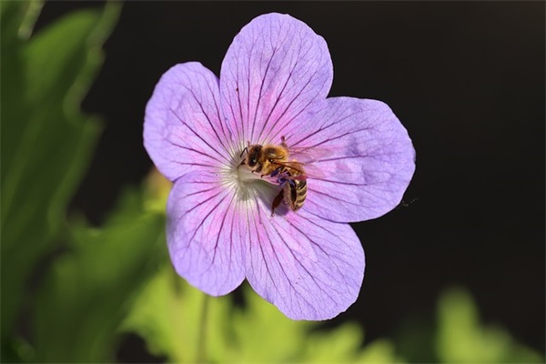 珍惜每一天正能量句子学生