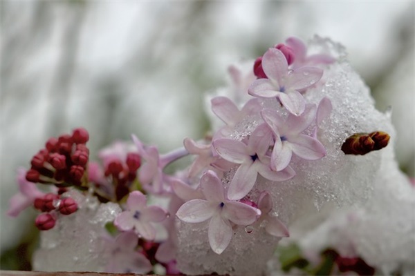 祝兄弟生日快乐的句子