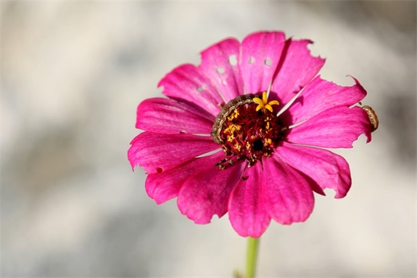 激励向上优美的句子(关于蓝色的,励志向上的优美句子)