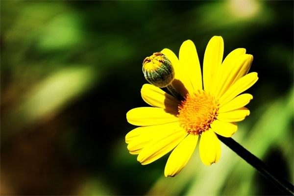 形容知己的句子