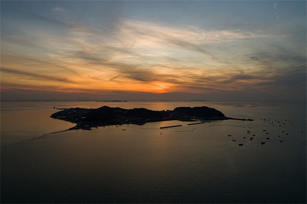 有关于树的优美句子