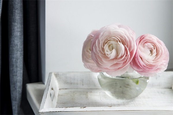 有气质的文案句子 简单又高级的文案