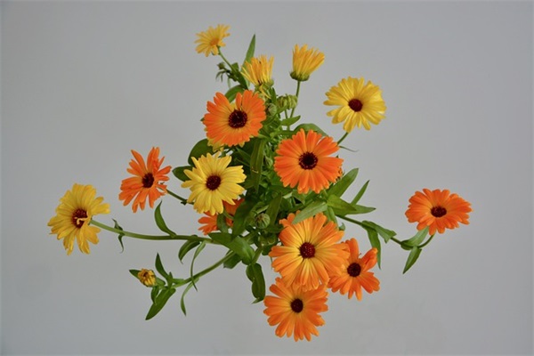 句句心痛的分手伤感心情句子