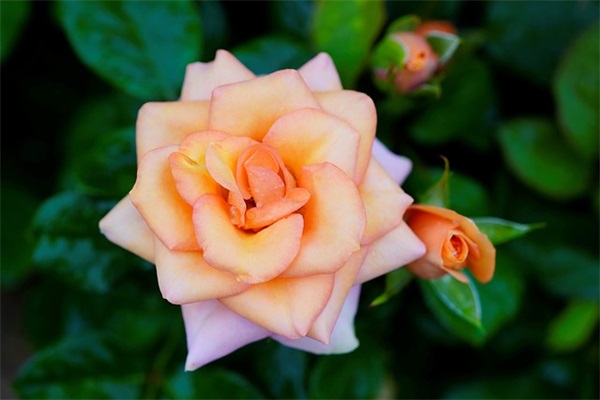 2025年形容长夜漫漫伤感的句子