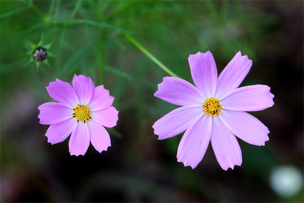 心情低沉的句子