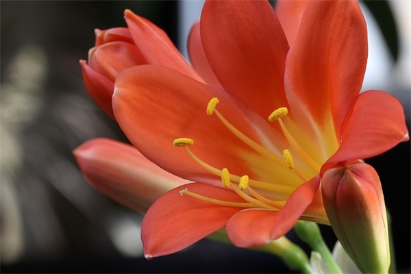 优美幸福句子摘抄80句