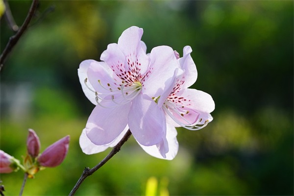 最走心的伤感短句 深夜触动泪腺句子