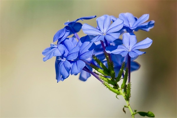 简短的失望透顶的句子