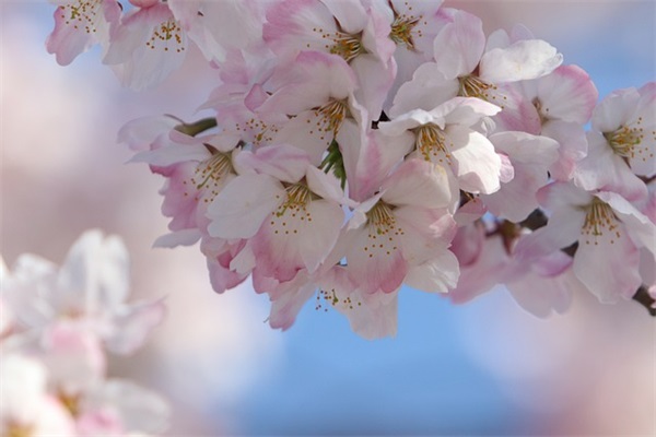 看完哭了那种伤感句子 最伤感的句子看了想哭