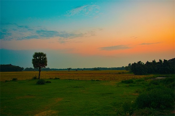 正能量励志的句子 励志正能量简短句子