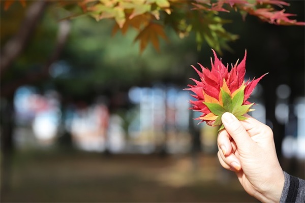 活得简单一点的语句 表达简单生活的句子