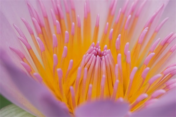 晚安激励上进正能量句子