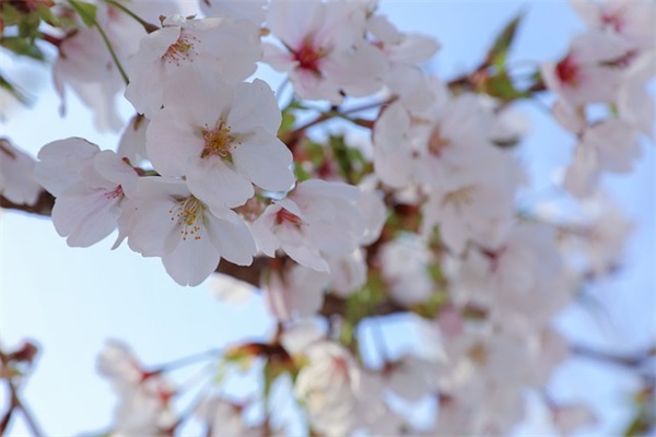 女生网名简单干净,好听昵称简短女生(精选)