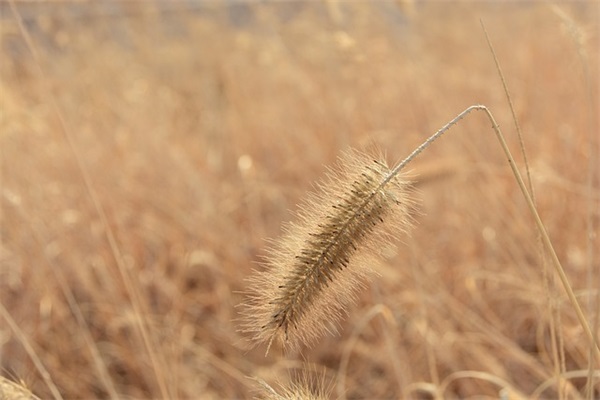 好听的百度贴吧昵称(共112个)
