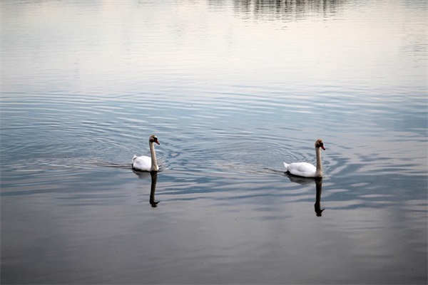 四字伤感心碎网名(优选110个)