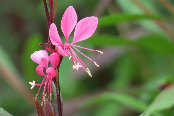 让人回头率很高的网名二字(共137个)