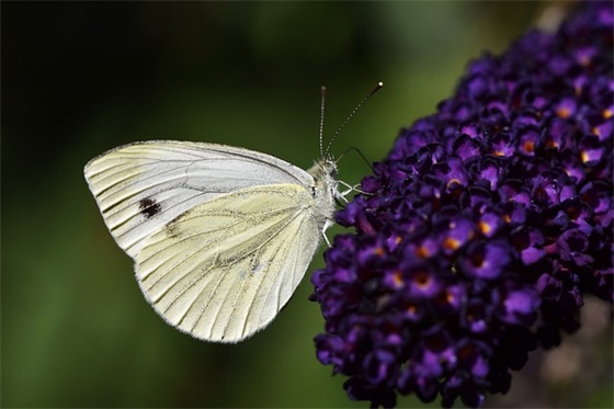 带符号繁体字网名(共85个)