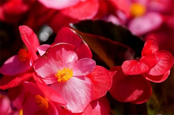 描写等待爱人的句子55句