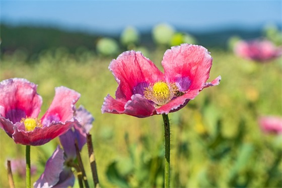 有关人生哲理的句子84句