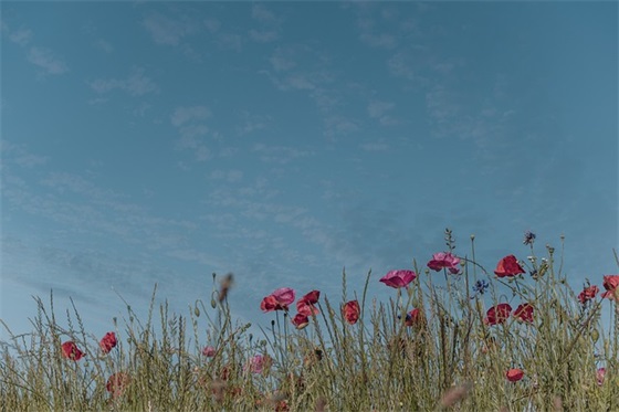 描写伤感的句子92句