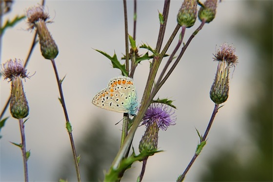 形容当今社会现实的句子