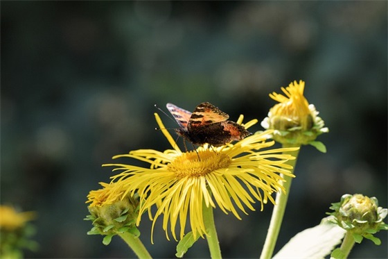 最新哭得伤心的句子 现实又很扎心的句子
