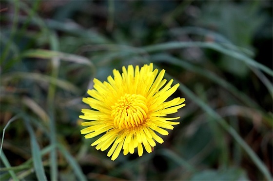 描写伤心失落的句子