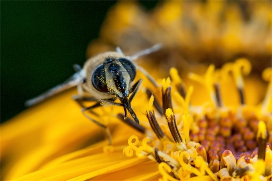 七夕情人节简短句子文案