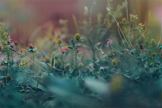 优美含义深刻的句子