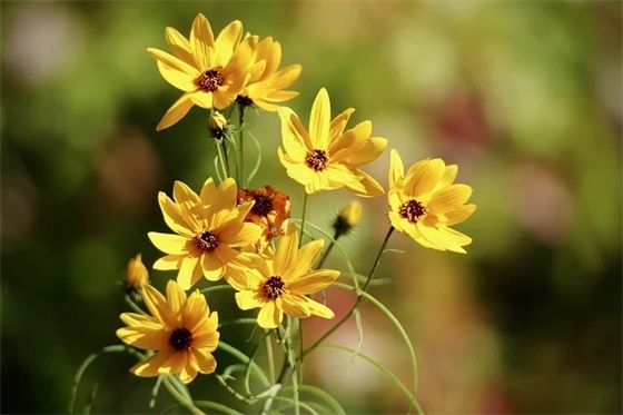 在外漂泊的伤感句子 漂泊打工的感慨句子