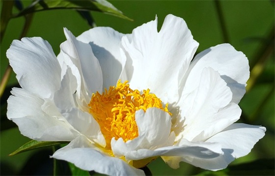 好听帅气的句子 又酷又帅又霸气的句子