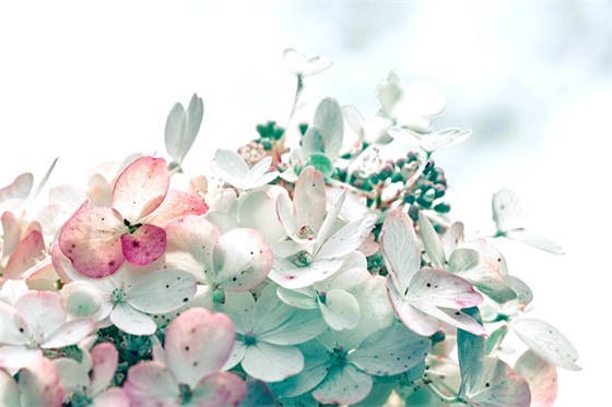 快乐生活哲理句子