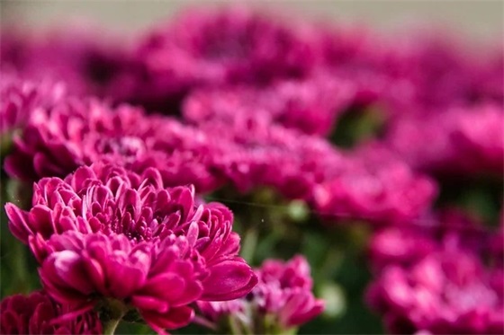 特别小清新的个性句子 小清新的句子