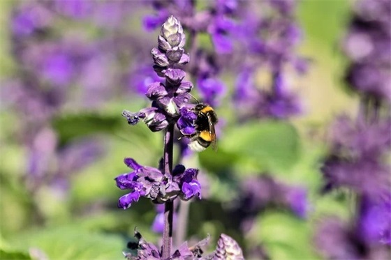 悼念刚离去的亲人句子悼词 祭奠刚刚离世的亲人的短句