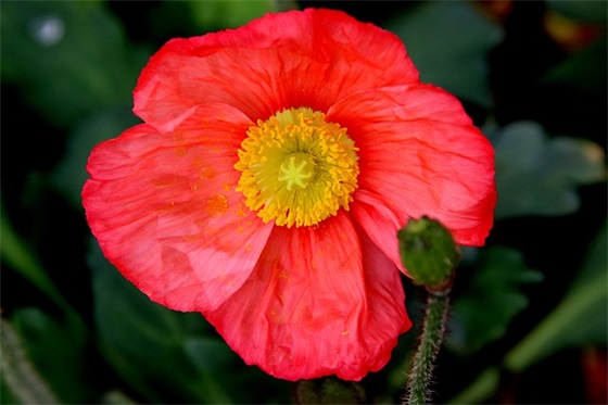 2025和对象跨年的文案 情侣跨年句子