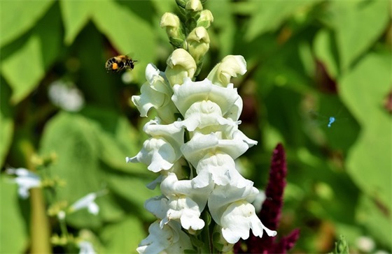 一晃孩子长大了的句子 你在长大我在变老句子