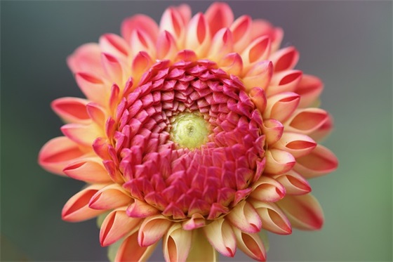 简短的感情伤感的句子(心痛了的伤感句子)