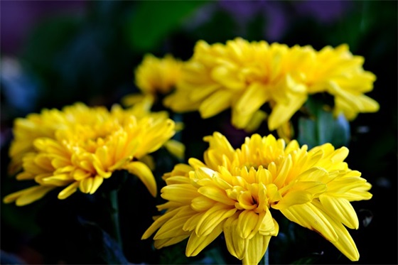 你的格局是被野心撑大的 心态好格局大的句子